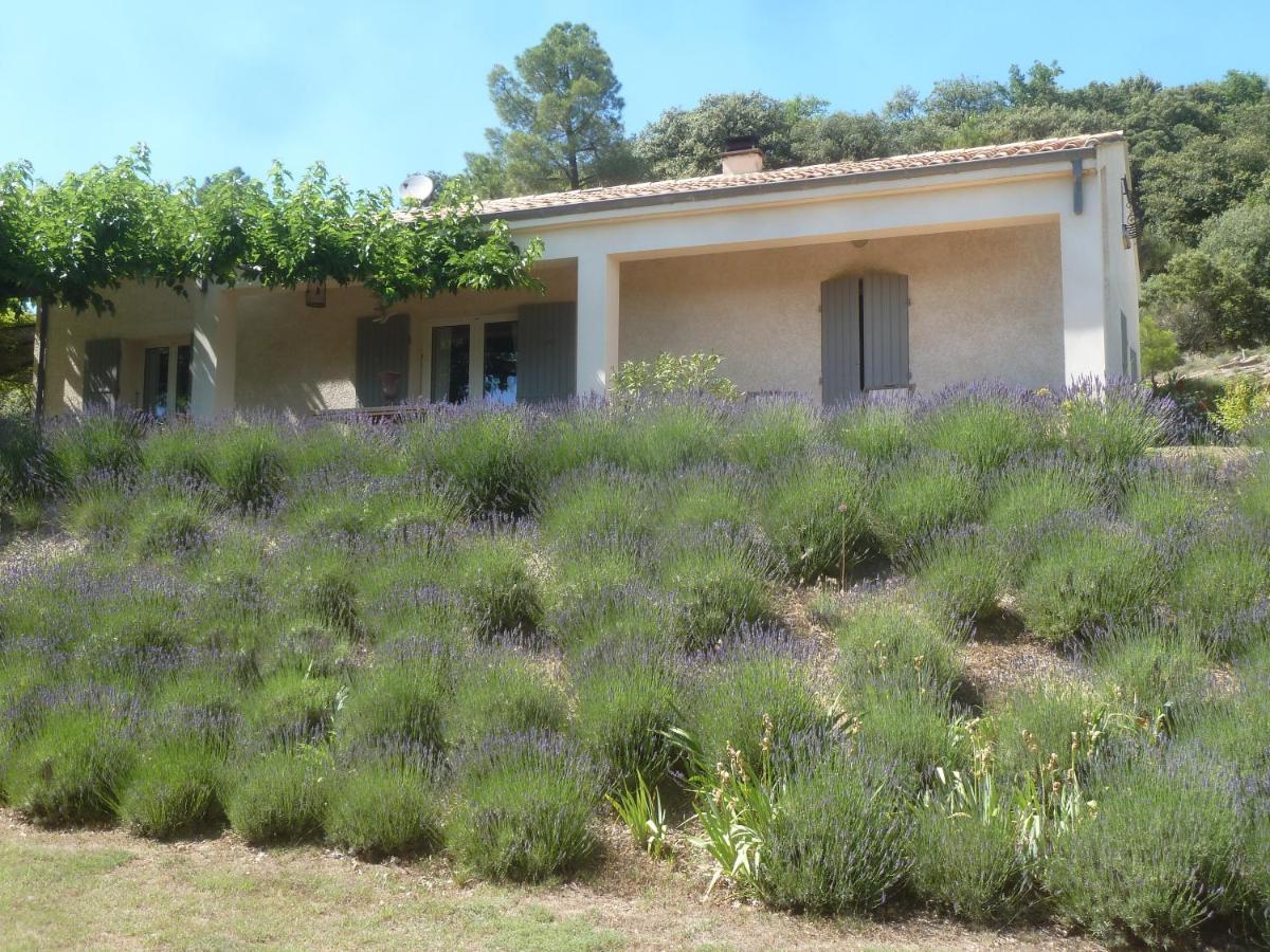 Une Ronce Sous Le Figuier Rousset-les-Vignes Eksteriør billede